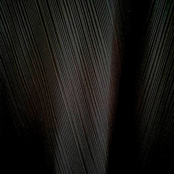 Free People Top - Picture 6 of 6